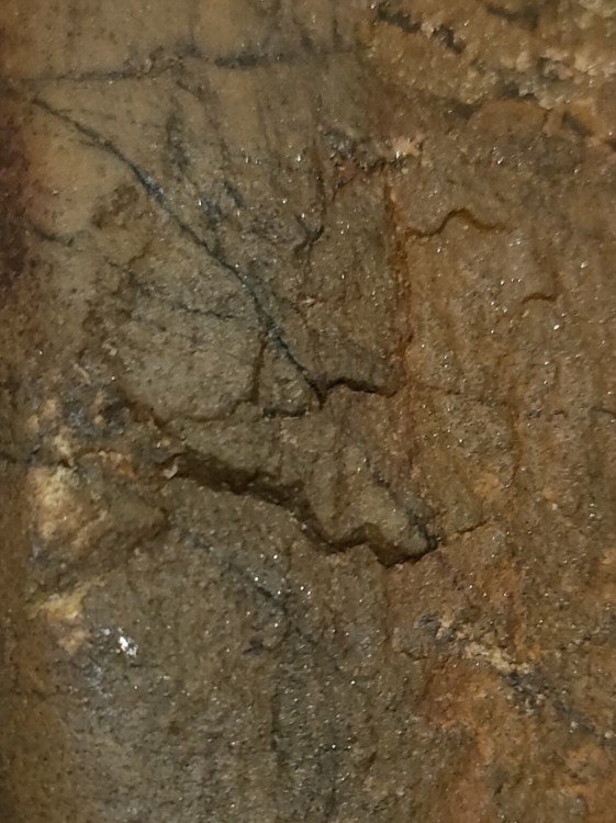 IMG_20211111_164213 (1).jpg