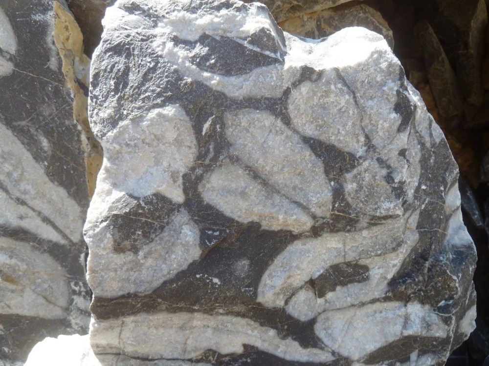 Curiosité 05-09-2021 (20) - .JPG