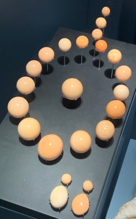 Capture d’écran 2021-11-11 à 20.13.58.png