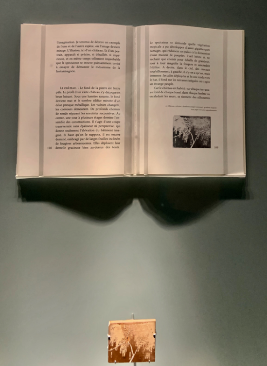 Capture d’écran 2021-11-16 à 19.20.00.png