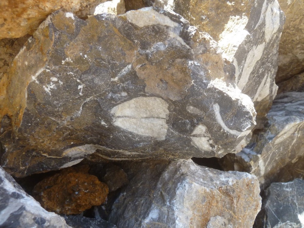 Curiosité 05-09-2021 (23) - .JPG