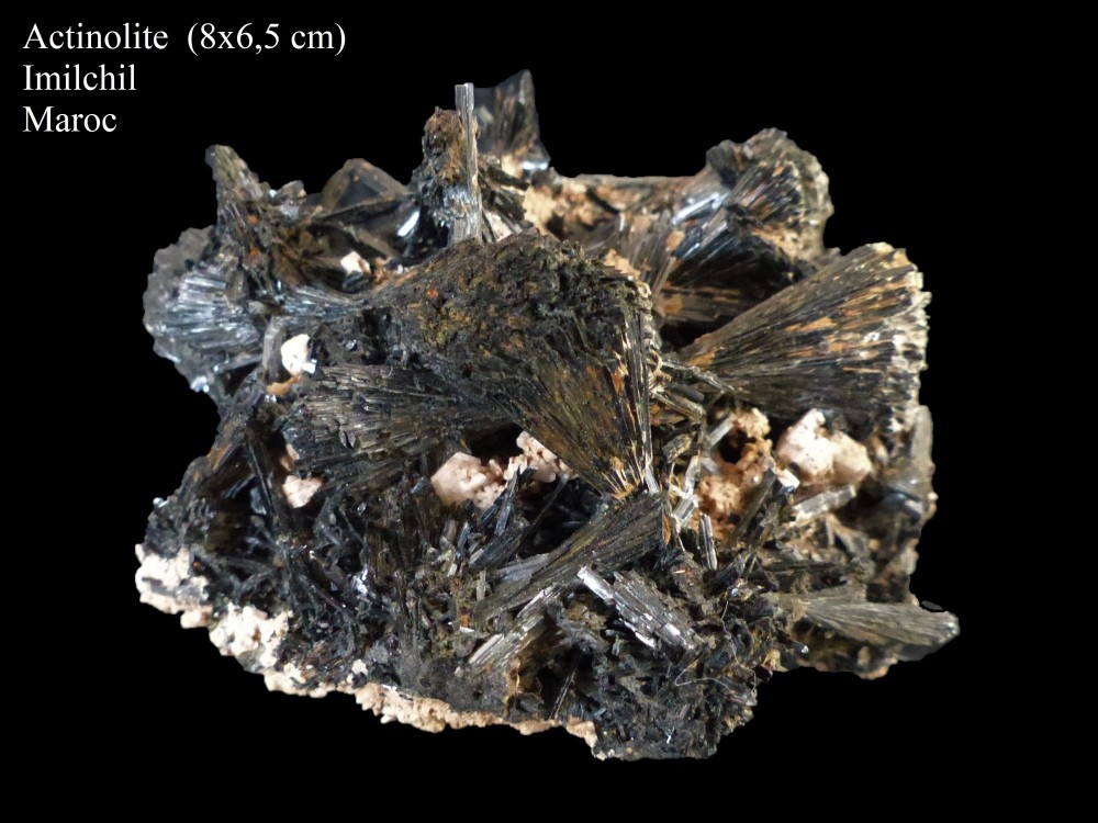 1009143665_actinolite3.thumb.jpg.32eb4d83947818e89a9a28114a2fbbba.jpg
