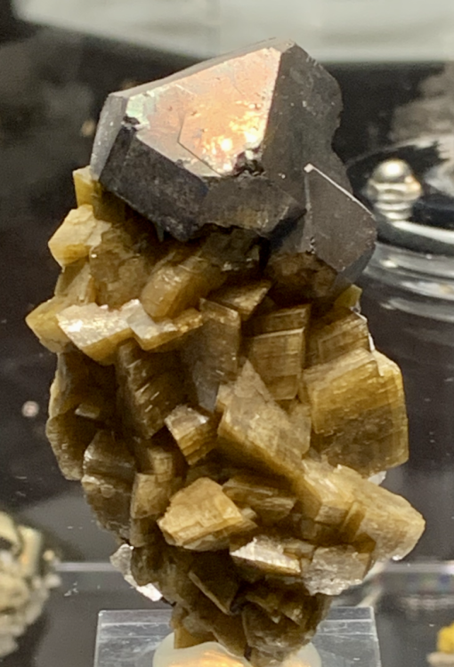 Capture d’écran 2021-12-12 à 03.32.19.png