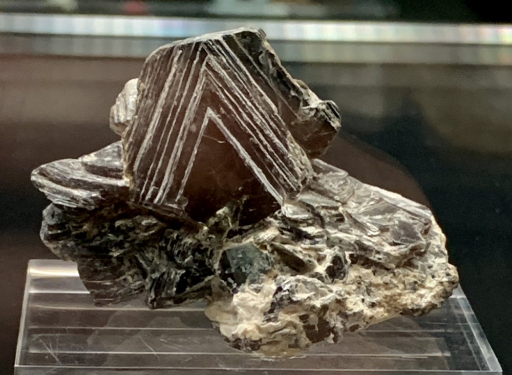 Capture d’écran 2021-12-12 à 03.15.26.png