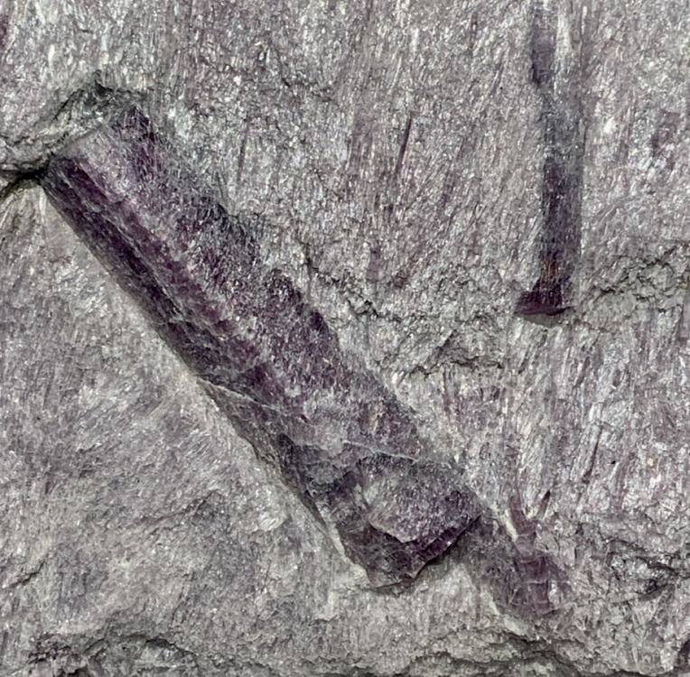 Capture d’écran 2021-12-20 à 02.59.48.png