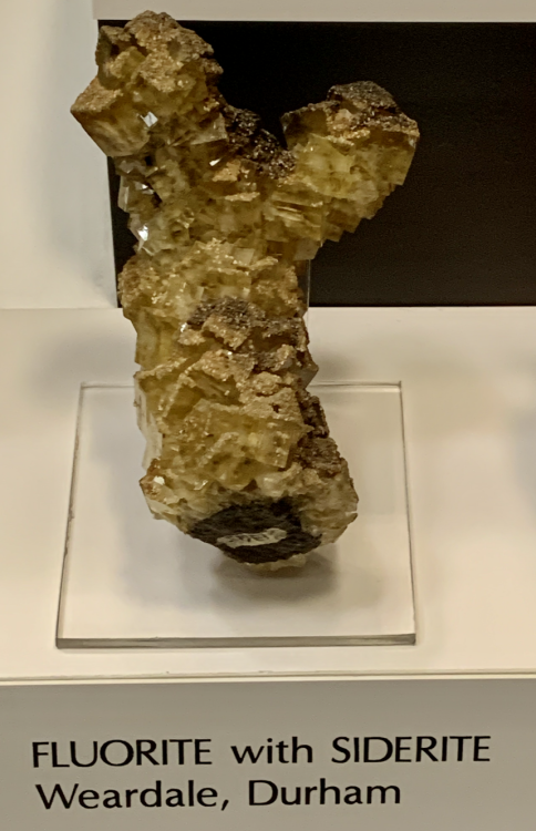 Capture d’écran 2021-12-12 à 03.10.31.png