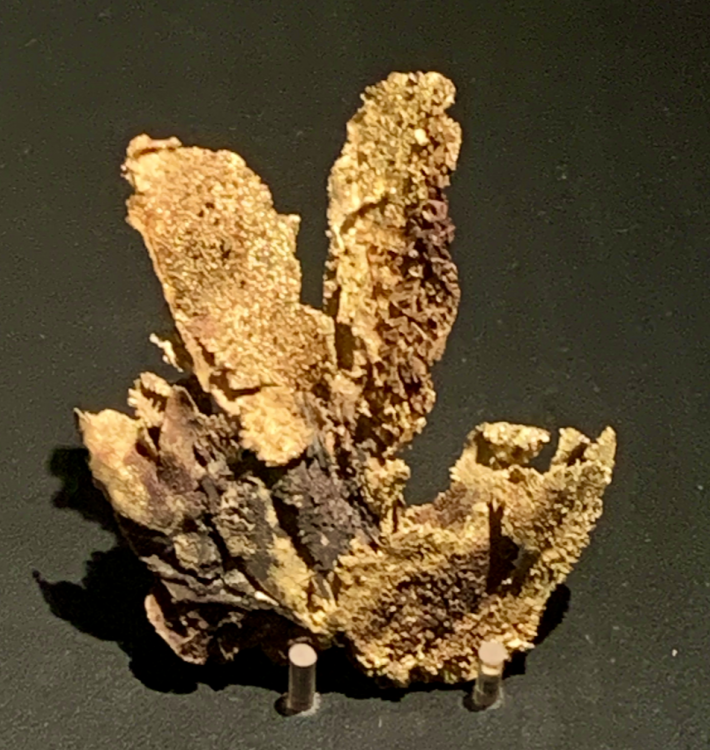 Capture d’écran 2021-12-12 à 03.35.40.png