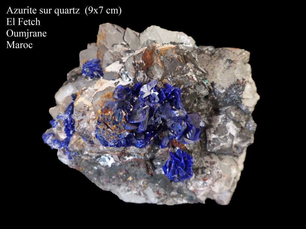 2074775919_azuriteelfetch2.thumb.jpg.1e1f1d128ad6f726ef80a3249750a3e8.jpg