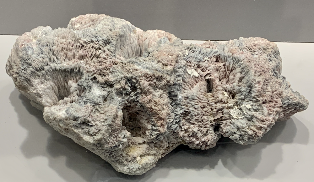 Capture d’écran 2021-12-25 à 08.31.39.png