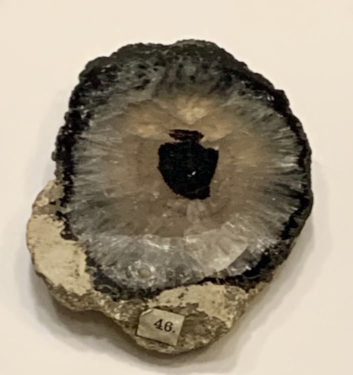 Capture d’écran 2021-12-12 à 03.09.36.png