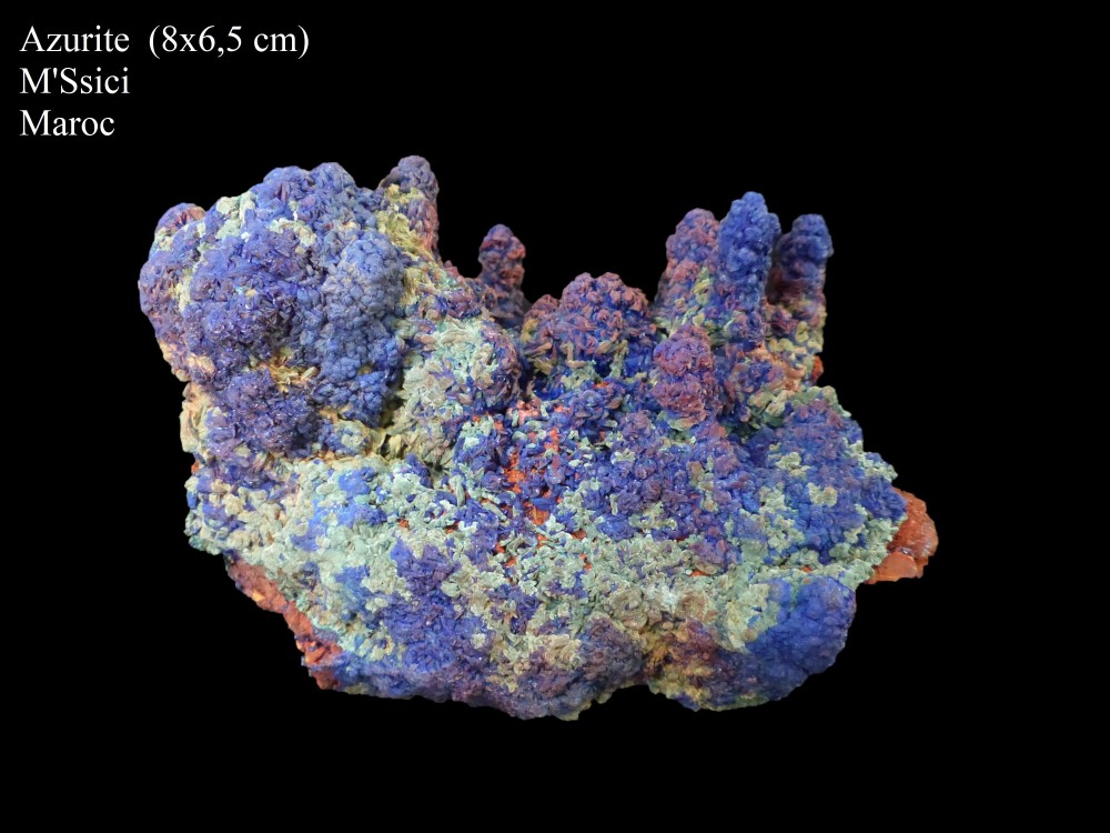 666216735_azuriteMssici2-1.thumb.jpg.3efad0aa3347b9da44070de25ff4893b.jpg