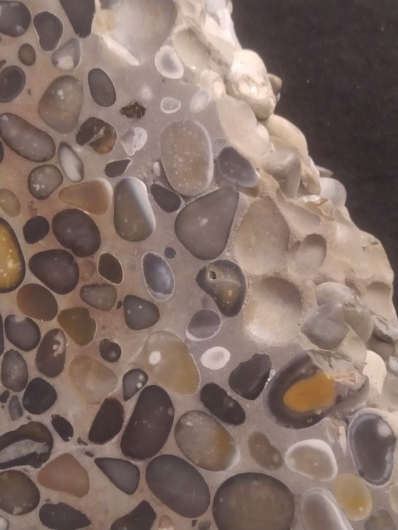 POUDINGUE YPORT (2).jpg