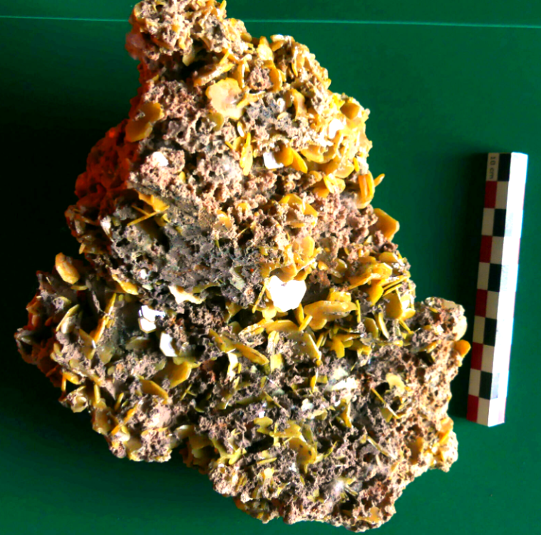 Screenshot 2022-01-12 10.16.18.png