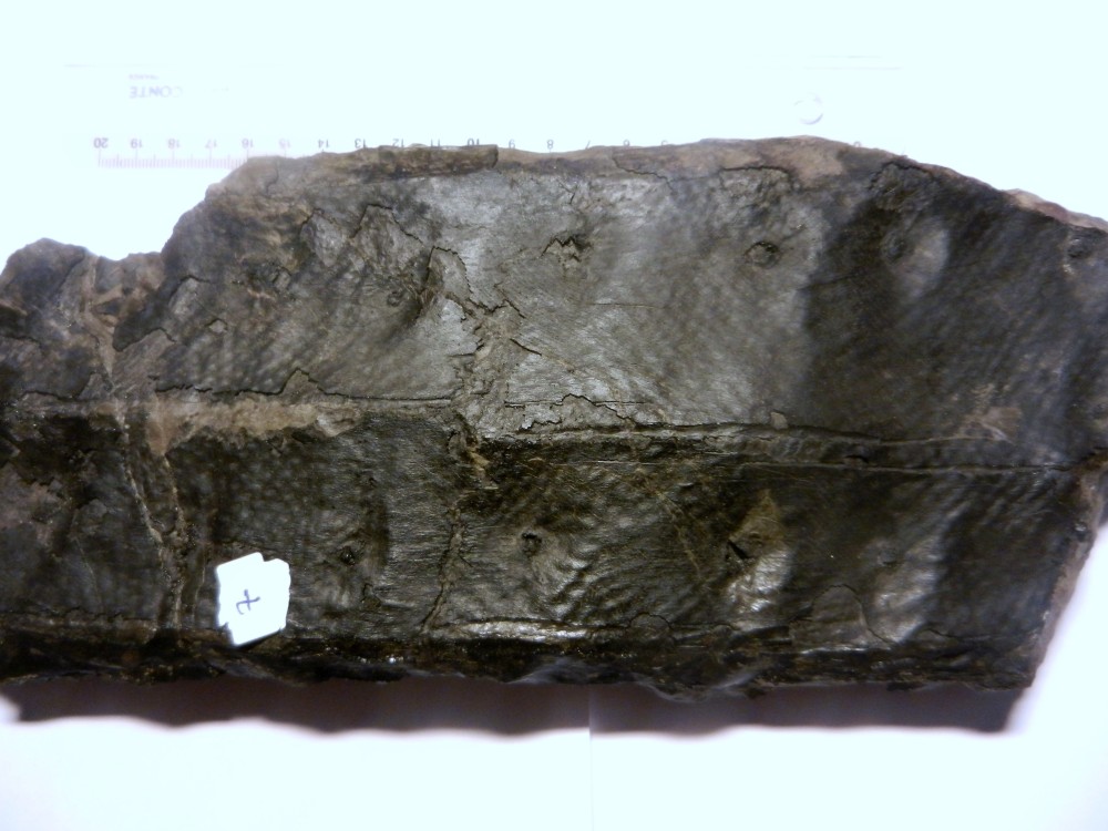 PHOTOS LM 2013 109.JPG