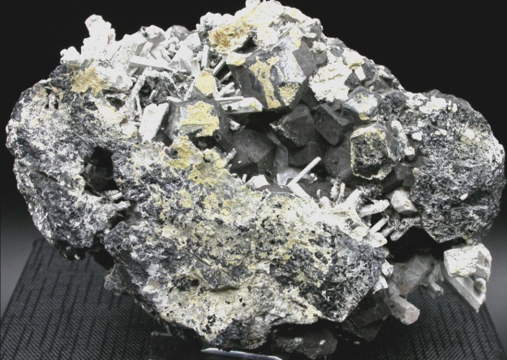 Screenshot 2022-01-12 10.41.54.png