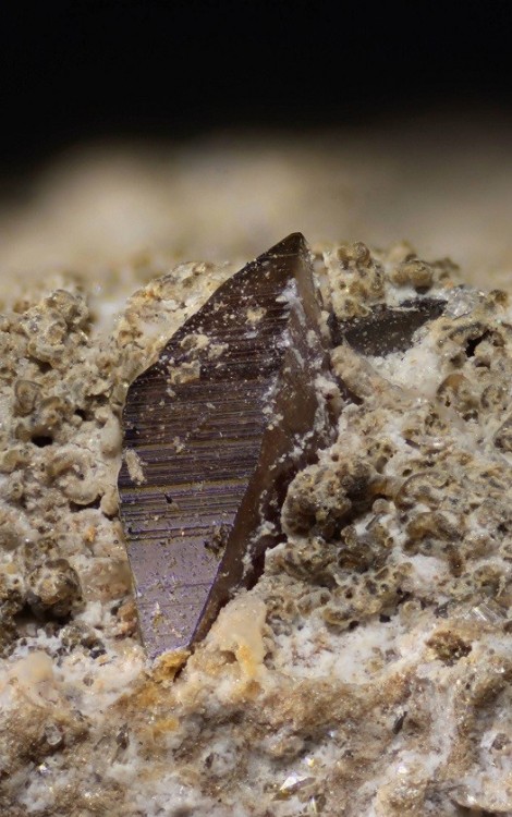 Anatase 3 30photos- X4 pas 0.5 - bague 21mm.jpg