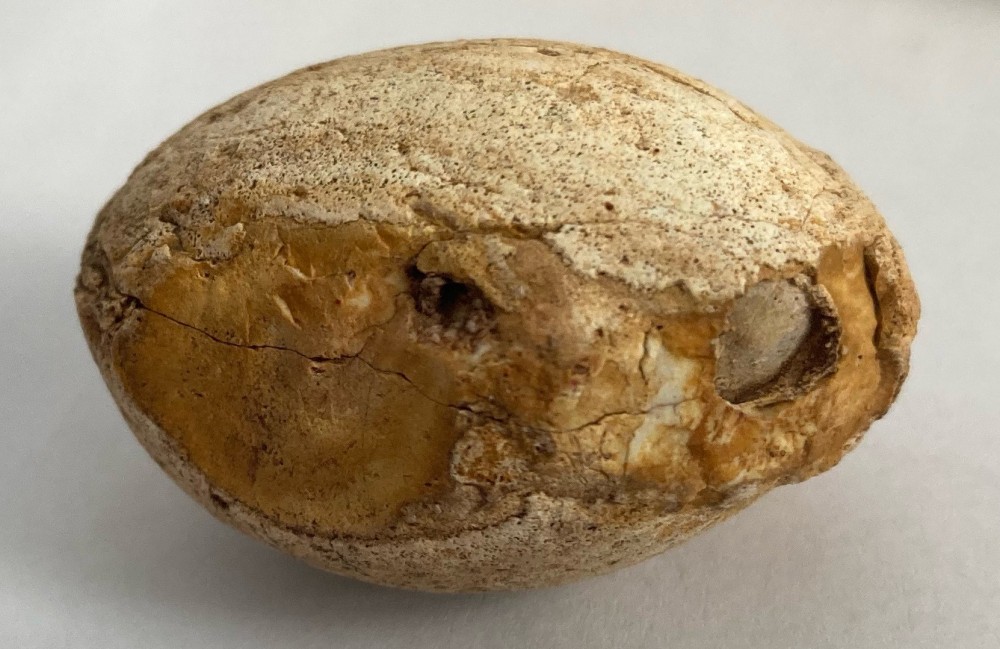 image_6483441 (12).JPG