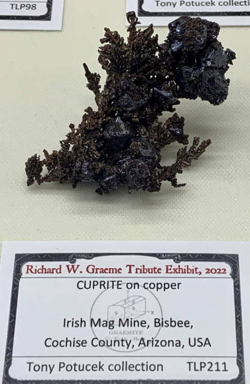 Capture d’écran 2022-02-24 à 22.21.29.png