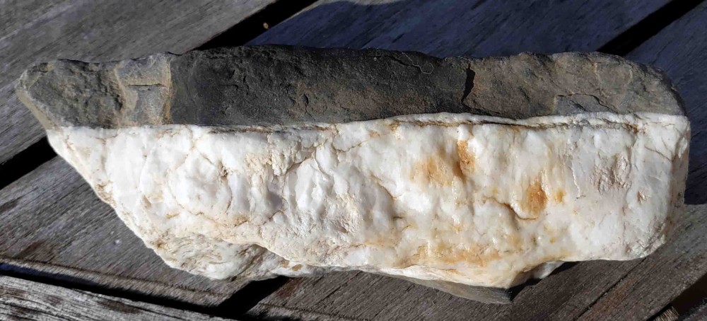 Carbonate silicifié (1).jpg