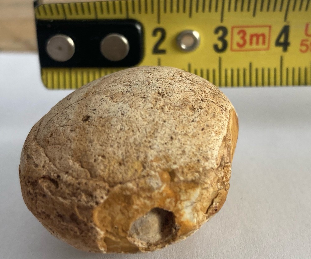 image_6483441 (14).JPG