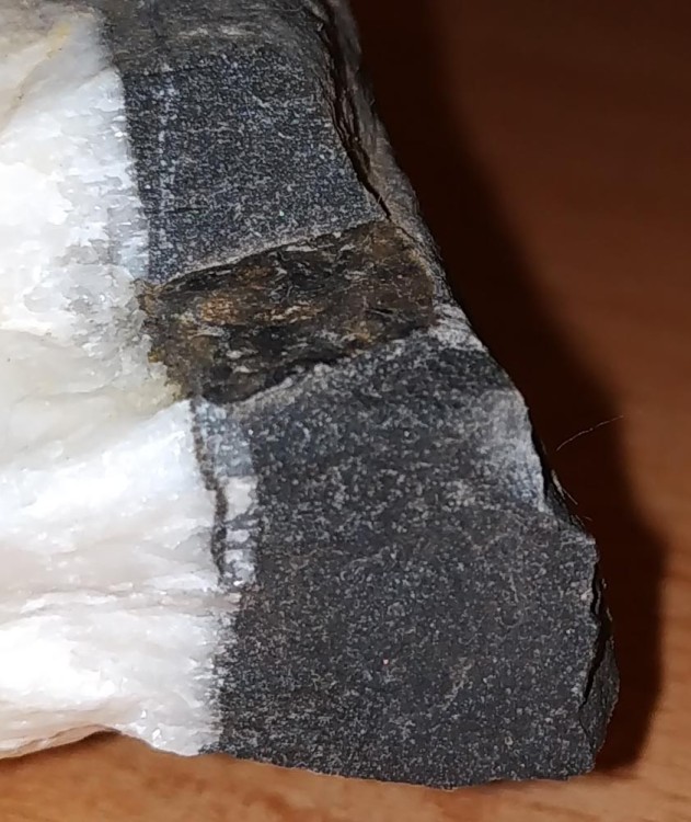 Carbonate silicifié (4).jpg