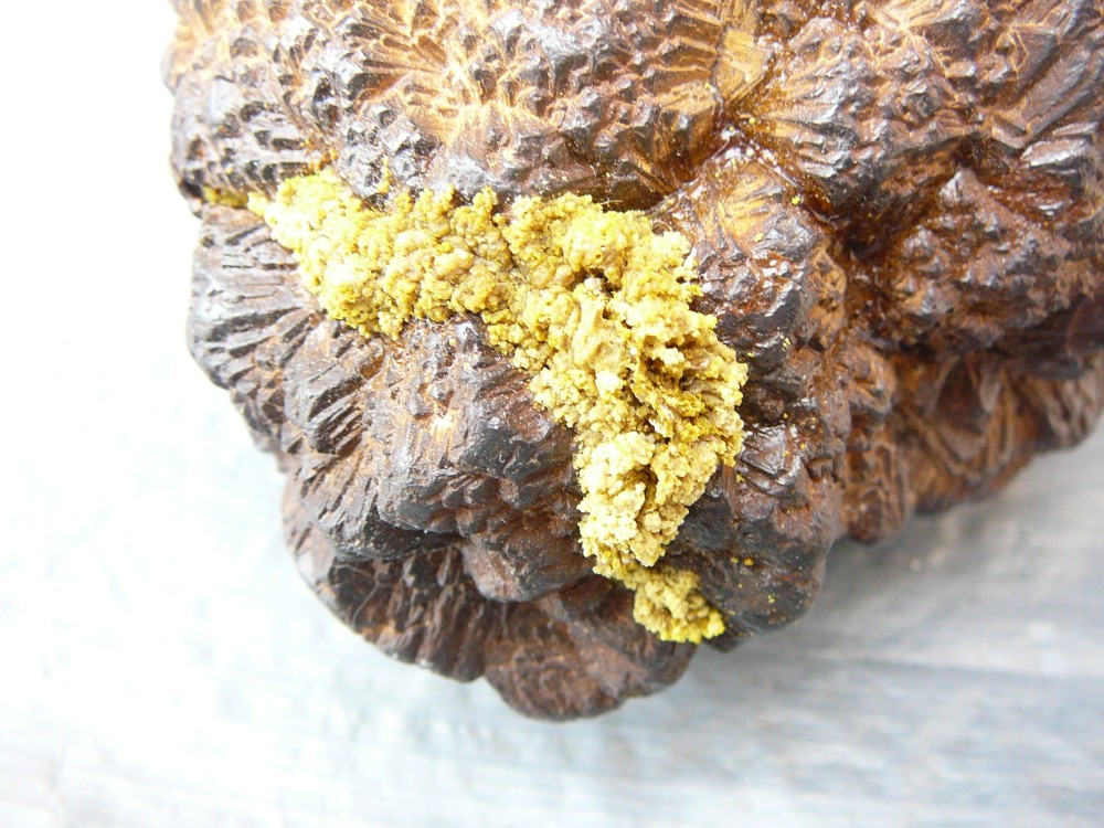 Marcassite de la région de Reims Marne (4).JPG