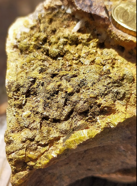 Screenshot 2022-02-18 13.43.29.png