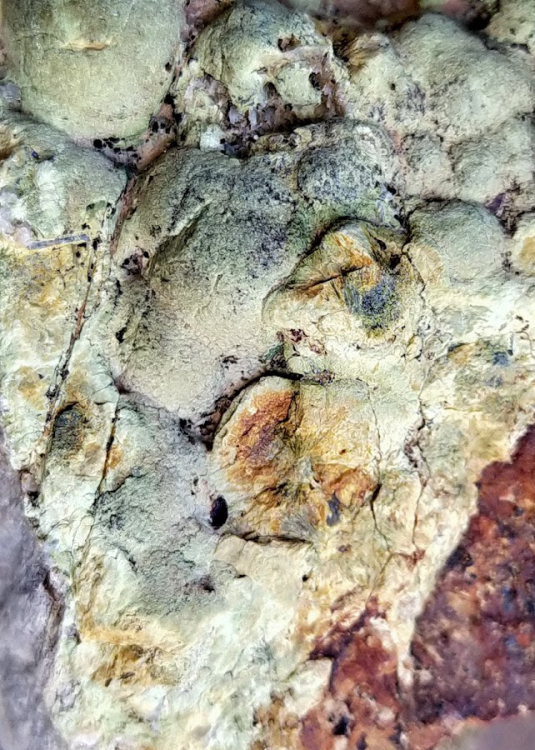 Screenshot 2022-02-19 17.03.29.png