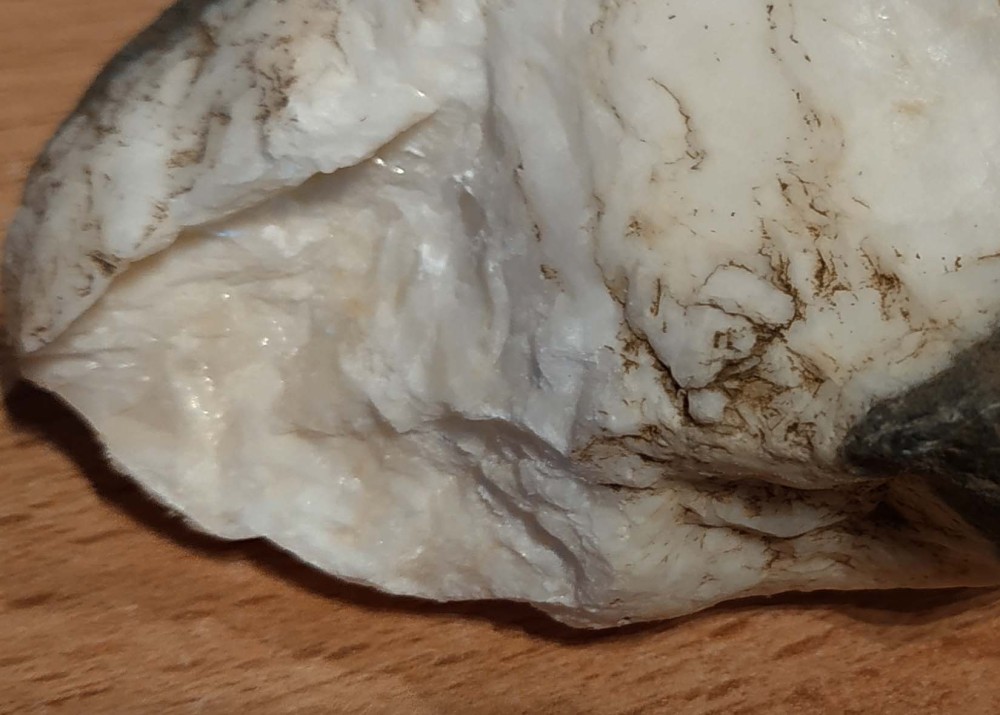 Carbonate silicifié (3).jpg