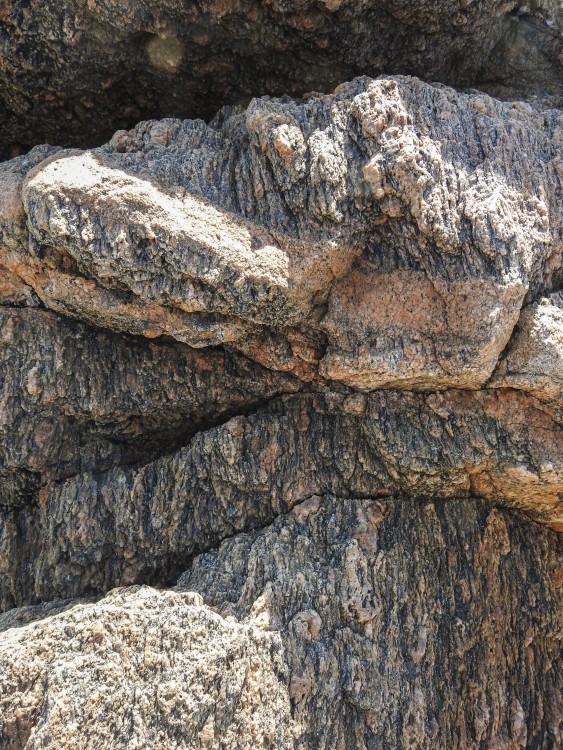 510424879_DSCN1652gneisscannes.thumb.jpg.70ef0095351d0333812836c63e2b0aaf.jpg