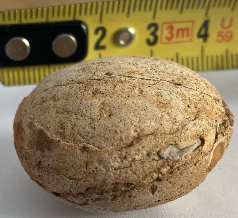 image_6483441 (15).JPG