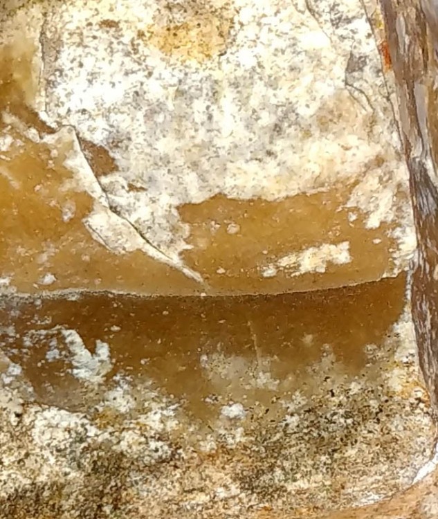 Orthose Belledonne (2).jpg