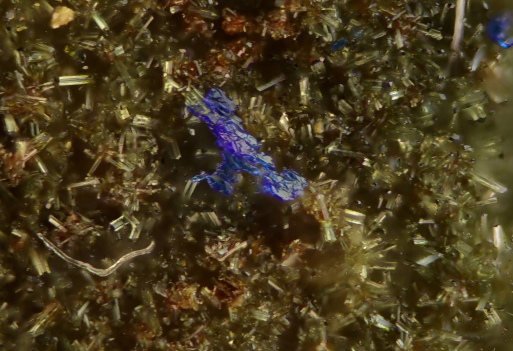 New-Out99999 - Copie.jpg