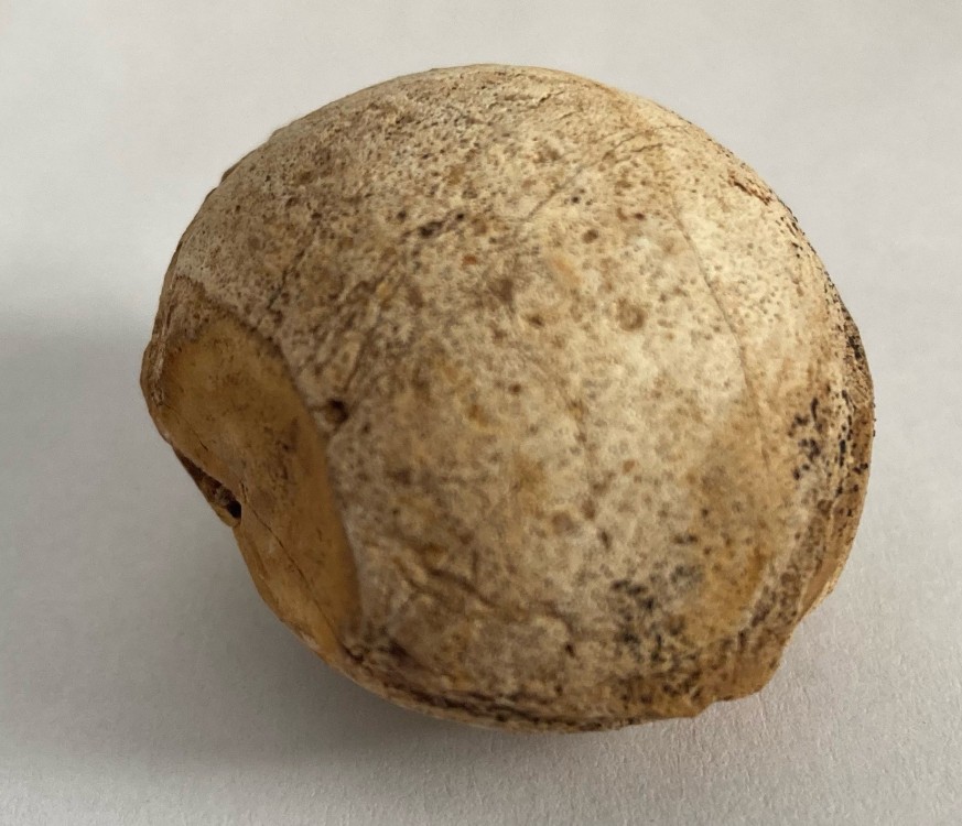 image_6483441 (13).JPG