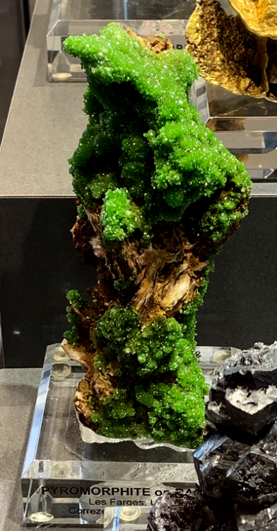 Capture d’écran 2022-03-14 à 23.33.59.png