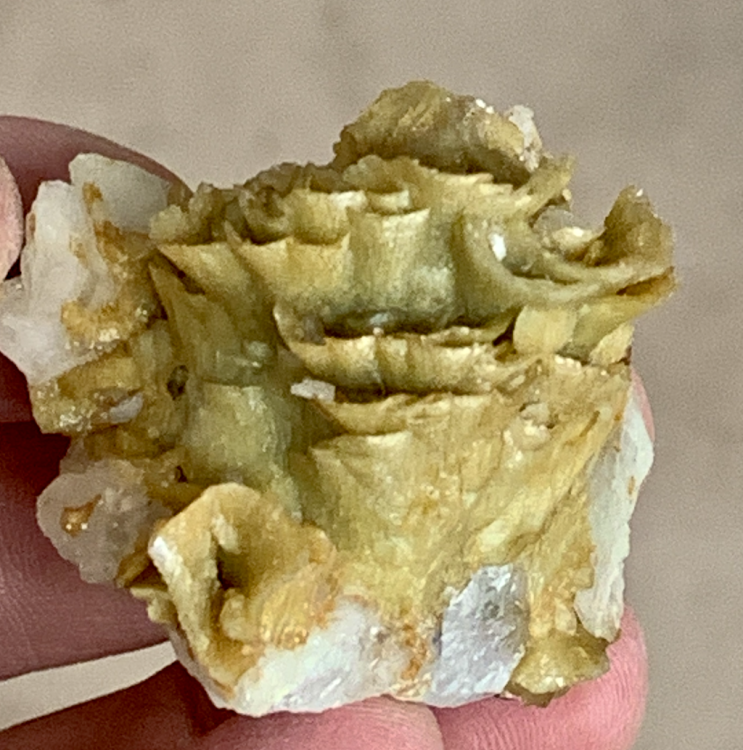 Capture d’écran 2022-03-25 à 18.22.52.png