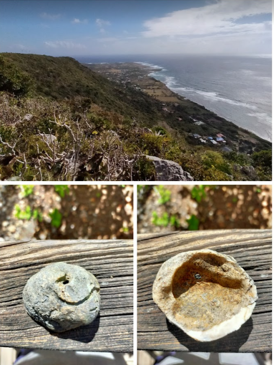 Screenshot 2022-03-01 14.55.13.png