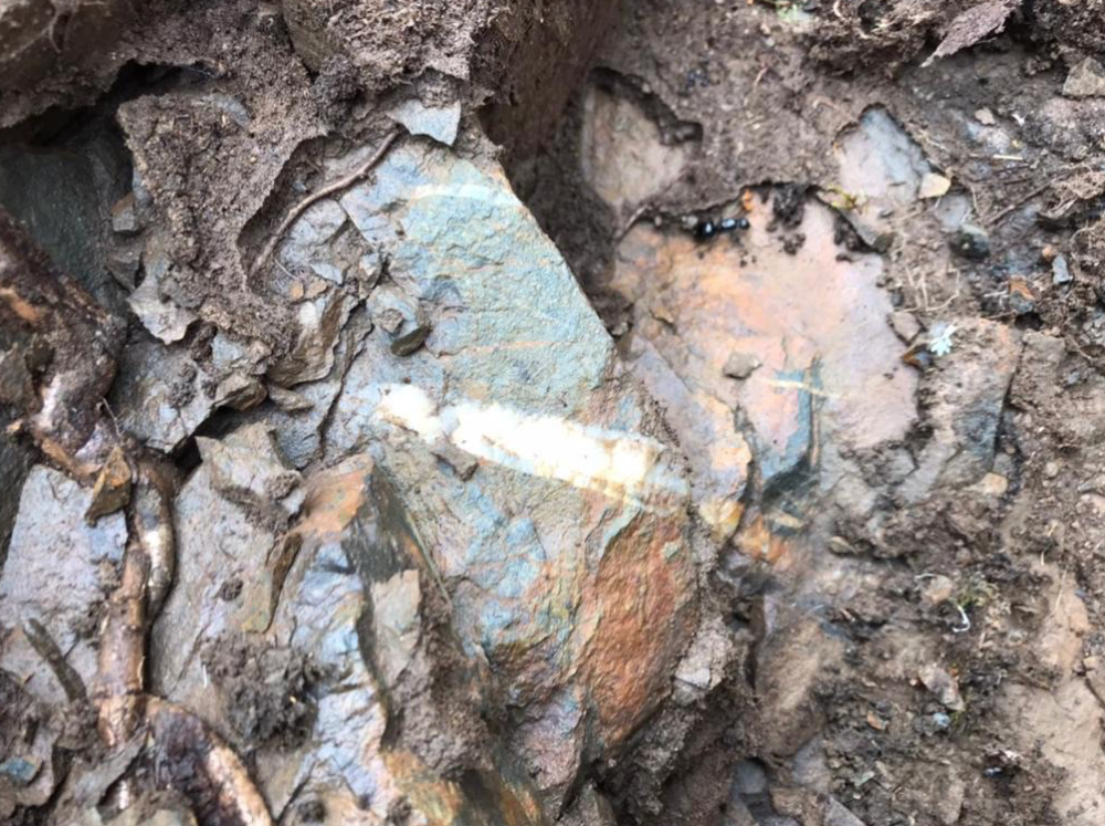 Capture d’écran 2022-03-08 à 14.43.11.png