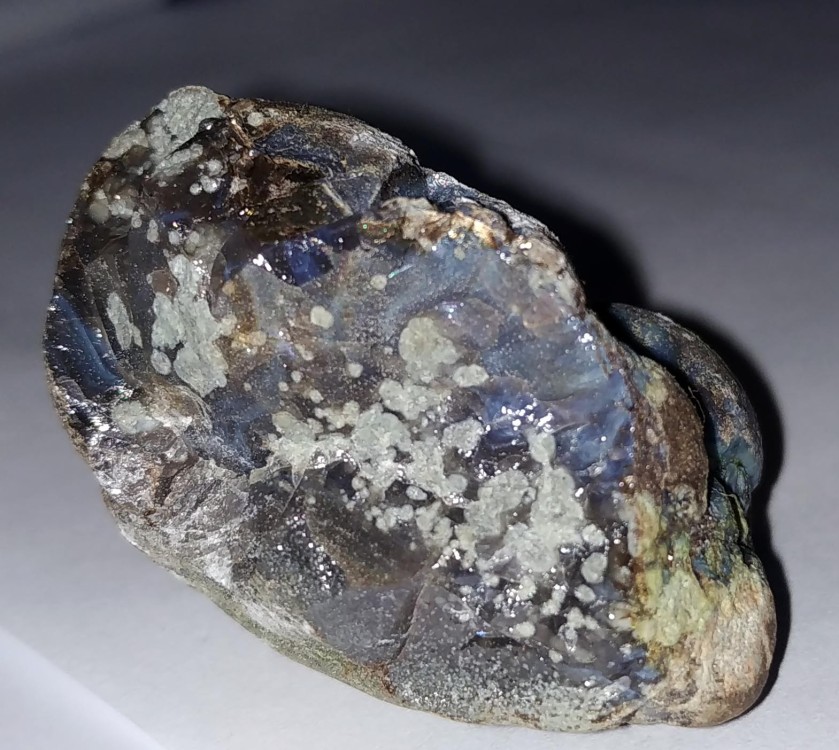 Reflets bleutés (2).jpg