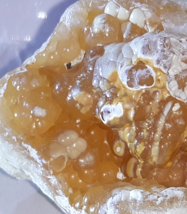 Geode calcedoine orange 1 17-02-2022.jpg