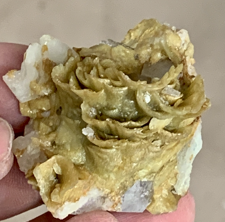 Capture d’écran 2022-03-25 à 18.24.10.png