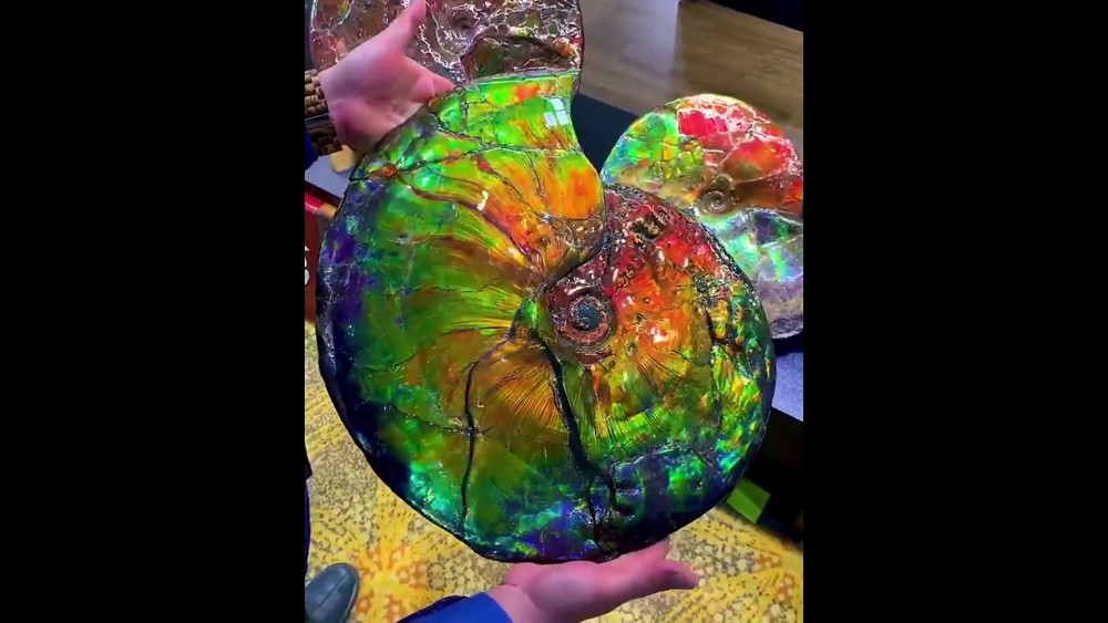 ammolite.jpg