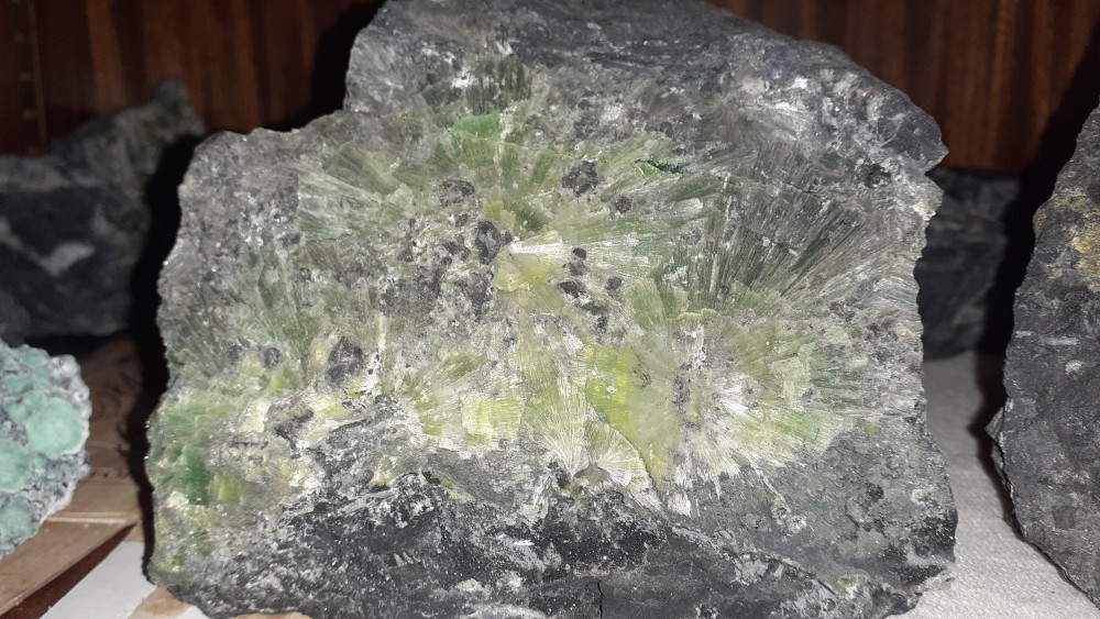 1728950082_PANNECEMINYULITE.jpg