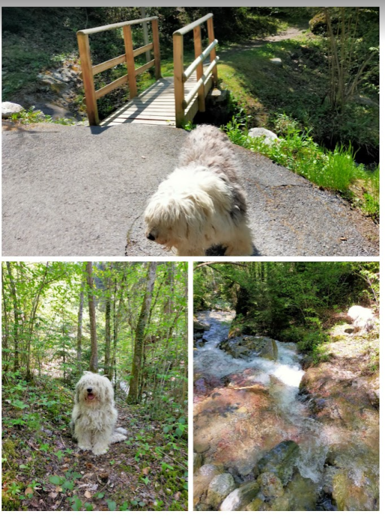 Screenshot 2022-04-28 14.59.43.png