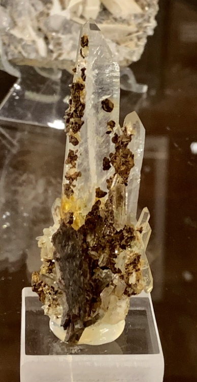 Capture d’écran 2022-04-30 à 20.38.00.png