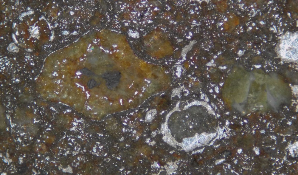 Chondrite 10-544ol.JPG