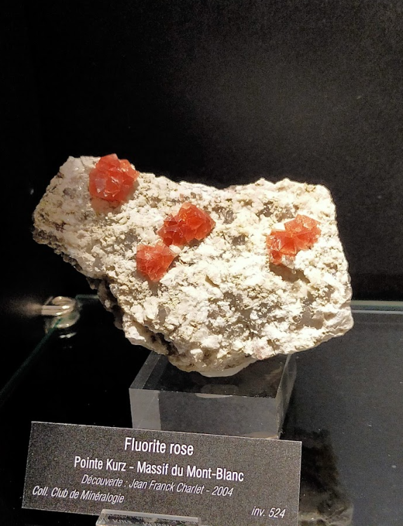 Screenshot 2022-04-19 18.20.46.png