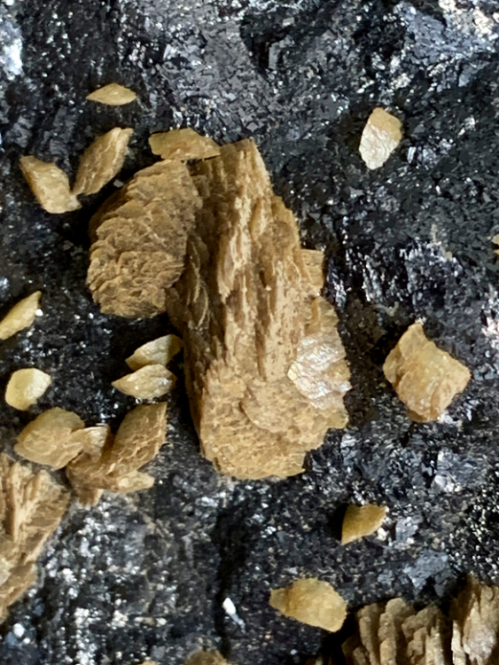 Capture d’écran 2021-11-12 à 00.36.23.png