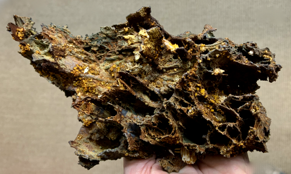 Capture d’écran 2021-11-12 à 00.27.47.png