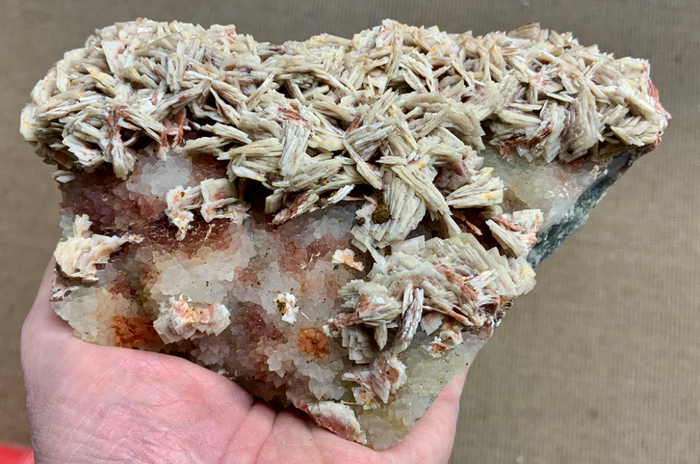 Capture d’écran 2021-11-12 à 00.22.04.png